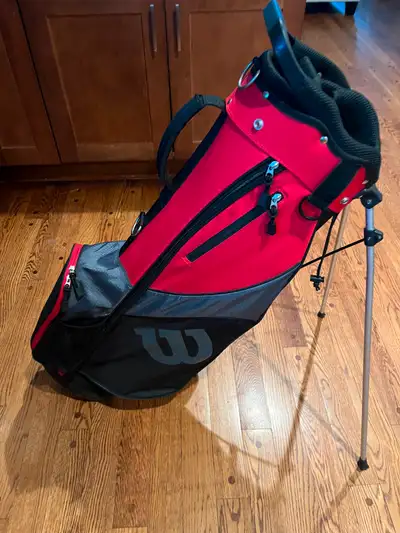 Wilson Golf Bag, like new used twice. Asking $65
