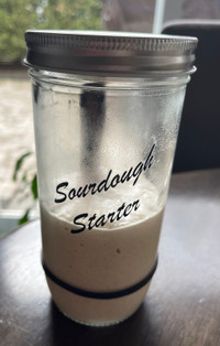 Sourdough Starter