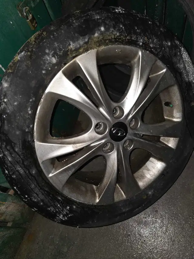 winter tires with chrome rims in Tires & Rims in Ottawa - Image 2
