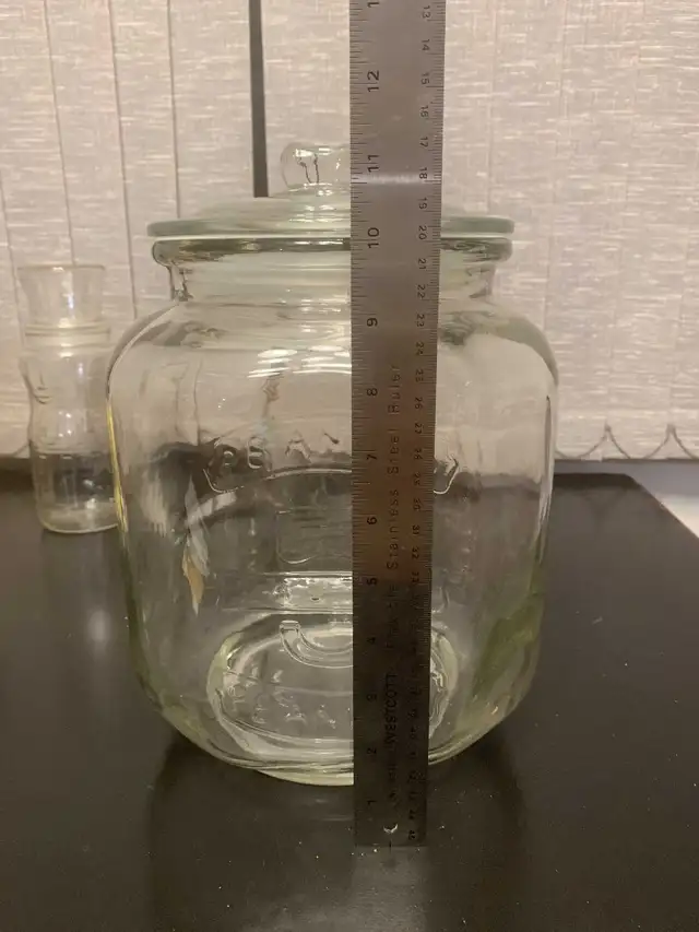 Mr.Peanut Collection64656289459586123