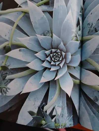 Available To Work, View more