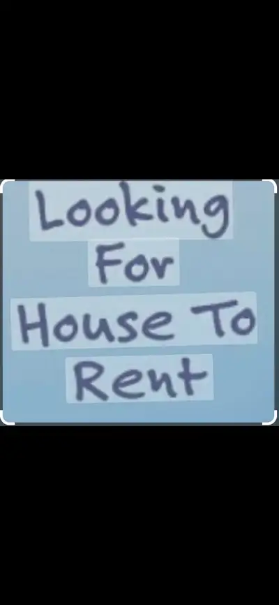 ISO: Looking to rent a property for my family (myself, husband, toddler & our two well behaved dogs)...