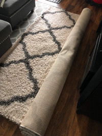 Area Rug