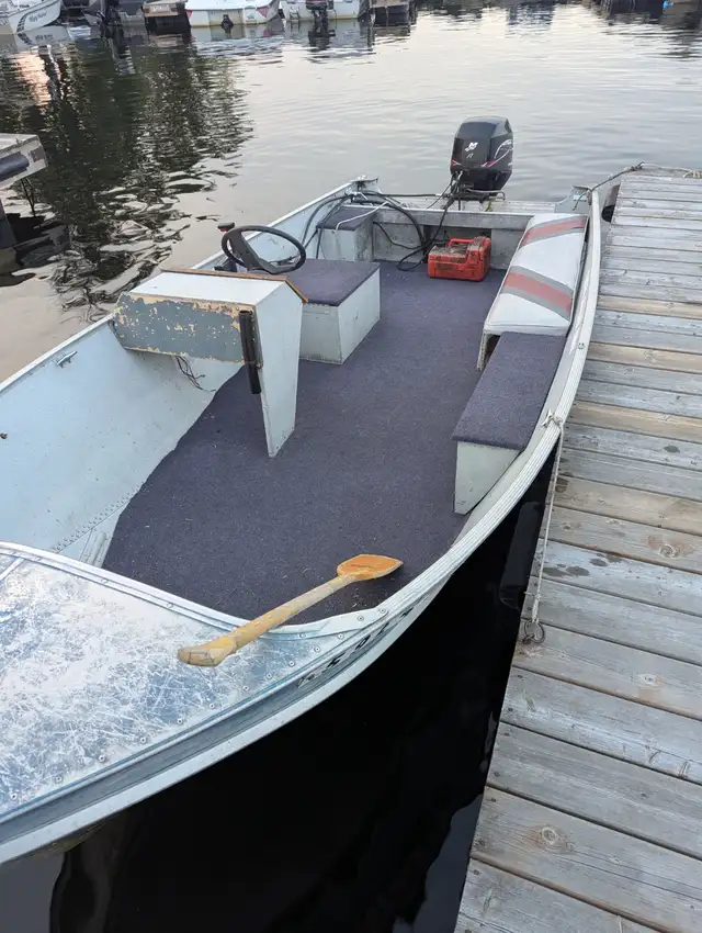 Waterfront Cottage Boat Rental Fishing Trip Holiday Vacation BBQ in Ontario in Canada - Image 9