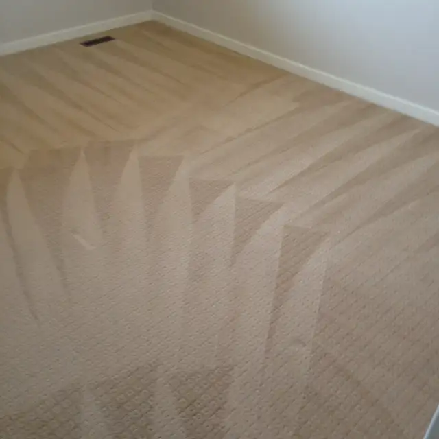 Carpet and Upholstery Cleaning in Condos for Sale in Saskatoon - Image 9