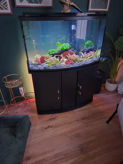aquarium 45 gallons bow f407 meuble, View more