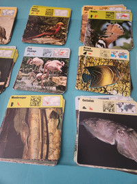 310 plus vintage animal cards