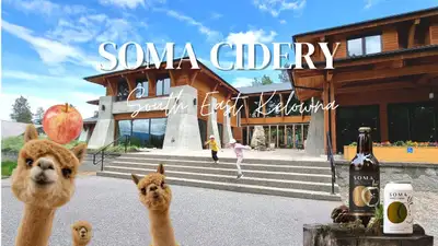 Alpacas & Asanas: Outdoor Yoga, Meditation, Alpaca Connection &, View more