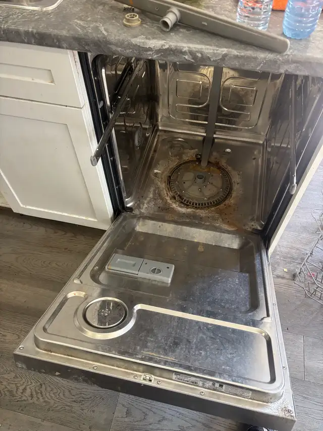 Professional Cleaning Services586009581915351043