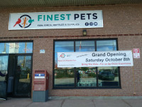 New Pet Store
