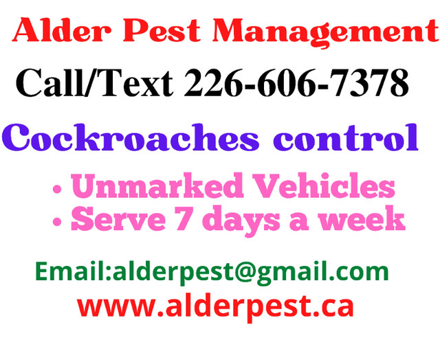 Pest control services St. Catharines Call 226-606-7378 in Other in St. Catharines - Image 3