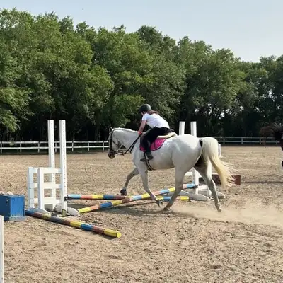 Horseback Riding Lessons, View more