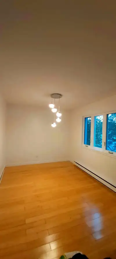 3 beds 1 bath apartment