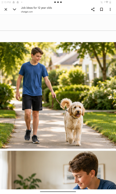 Pet sitting and walking I'm 12 years old and love animals❤️❤️, View more