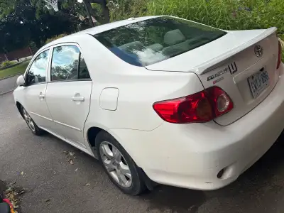 2009 Toyota Corolla CE (Manual) 183,400kms. This luxurious pearly stick shift has served me well for...