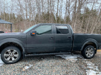 2012 Ford F150 eco boost 210000KM asking $11500 OBO