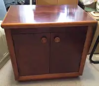 Mid  Century Modern - low cabinet - record storage