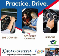 Professional Driving Instructors (Brampton) 6476792294