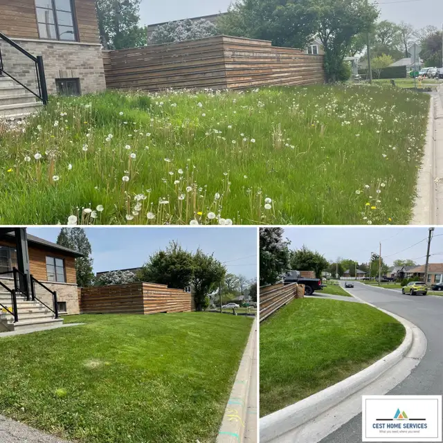 Lawn Maintenance/Grass cutting/Trimming/Sodding/Yard Cleanup63581885750787123