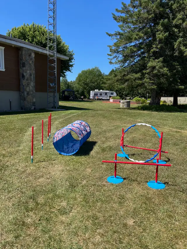 Kit entraînement pour chiens in Accessories in Lanaudière - Image 4