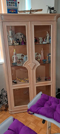Cabinet/dining display 