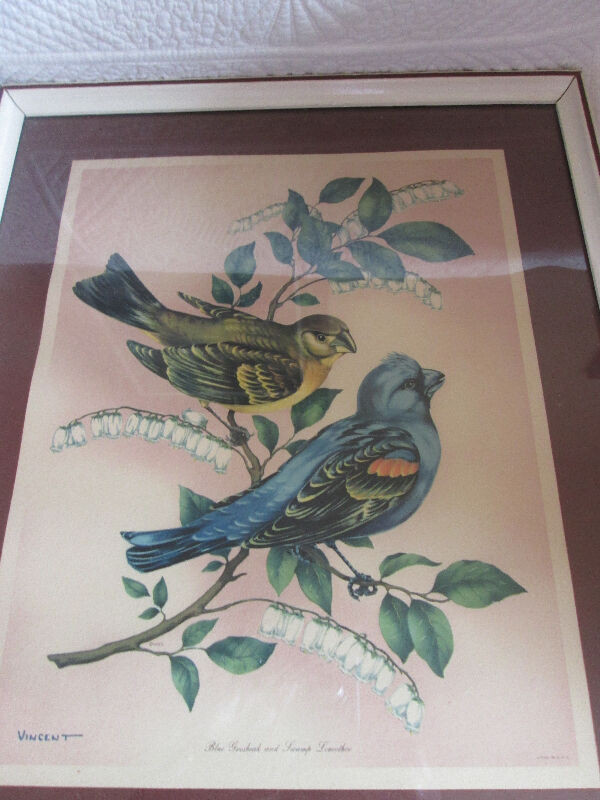 Cadre vintage  oiseaux  Litho in USA dans Décoration intérieure et accessoires  à Lac-Saint-Jean