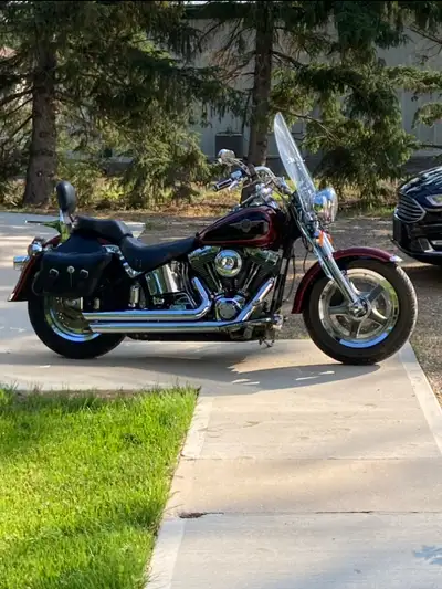 New Screaming Eagle Stage 2 kit (gives about an extra 30 hp) New Screaming Eagle torque cams New cha...