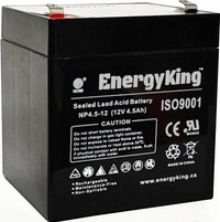 EnergyKing Standard Security Alarm Battery 12V