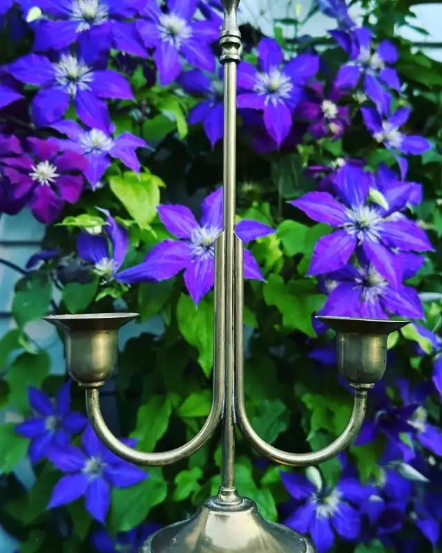 ANTIQUE GOLD DOUBLE CANDLEHOLDER VINTAGE BRASS62863270214401122