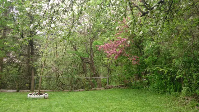 Mississauga (Erin Mills) – Private Detached Home for Rent in Long Term Rentals in Mississauga / Peel Region - Image 19