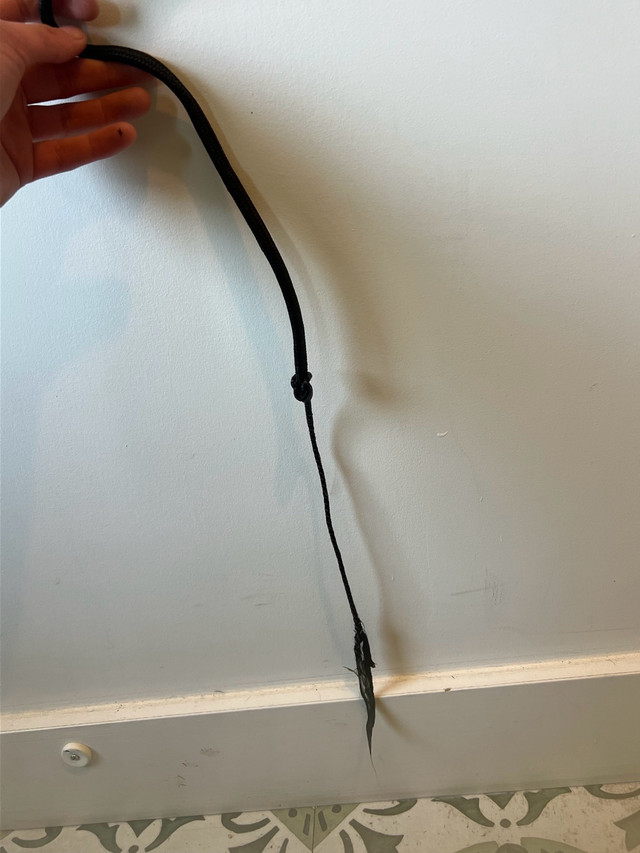 Supra lunge whip, horse lunge whip in Equestrian & Livestock Accessories in New Glasgow