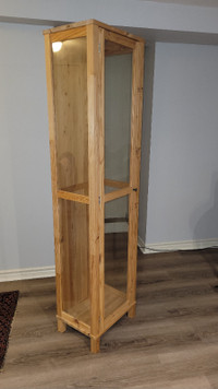 Glass and Wood tall cabinet