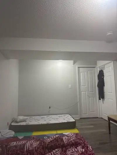 Room for rent from 1st of August for girl  near Bramlea and Pet