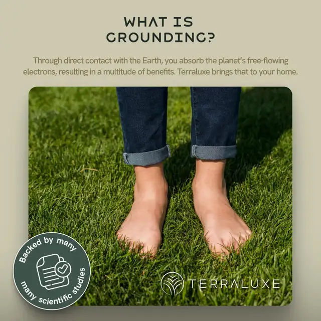 Terraluxe Grounding Bed Sheet (Cali King) in Bedding in City of Montréal - Image 8