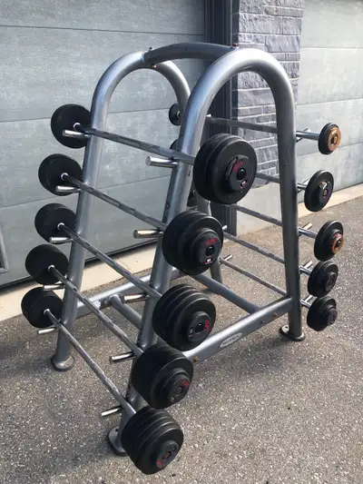 20-110 lb straight bar set with matrix rack, View more