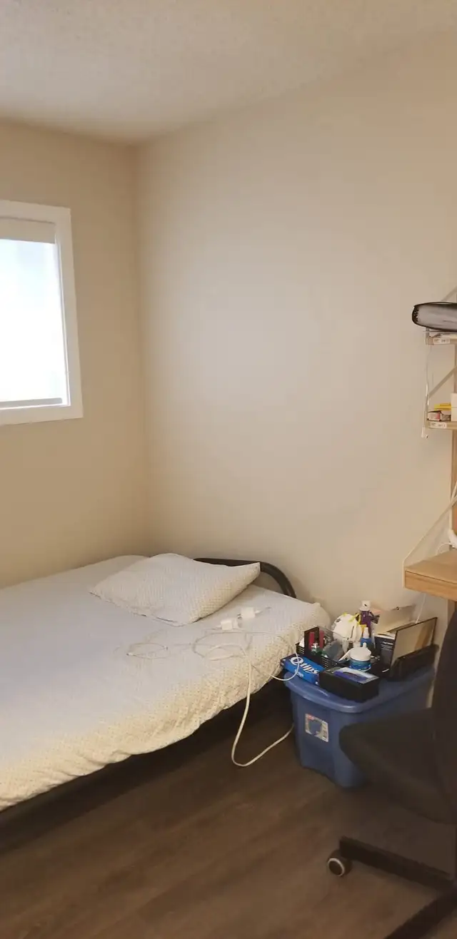 QTPOC space looking for new roommate in Room Rentals & Roommates in Vancouver - Image 7