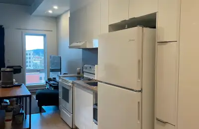 Loft neuf 3 1/2 rien d'inclus, semi-meublé ou tout meublé! Gym