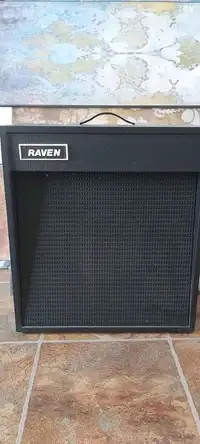1970s "Raven" branded Garnet stencil low watt tube amp working