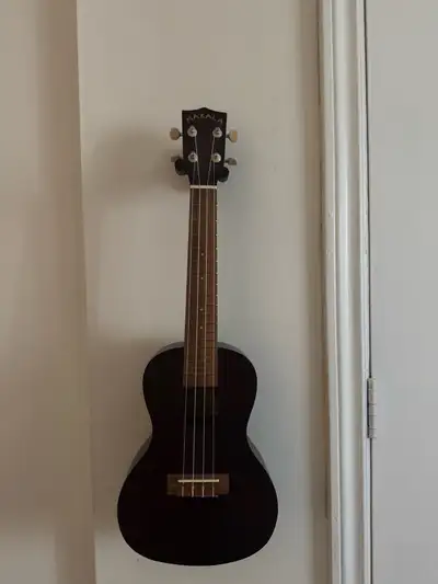 Basically brand new, used maybe once or twice