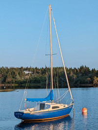 Sailboat & trailer