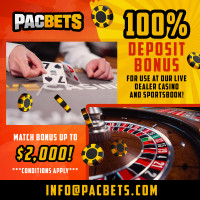 CAPITAL PARTNERS FOR CASINO AND SPORTSBOOK. DAILY PAYOUTS