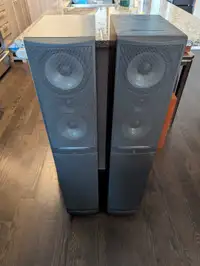 Infinity RS5 Floor Standing Speakers