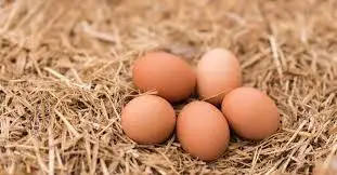 Eggs for sale, View more