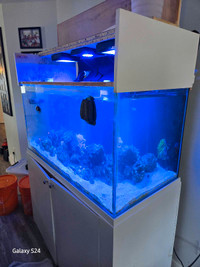 120 g aquarium with 40 g sump