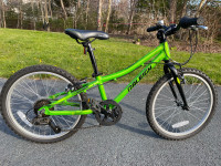 Raleigh Bike - 19 inches wheels