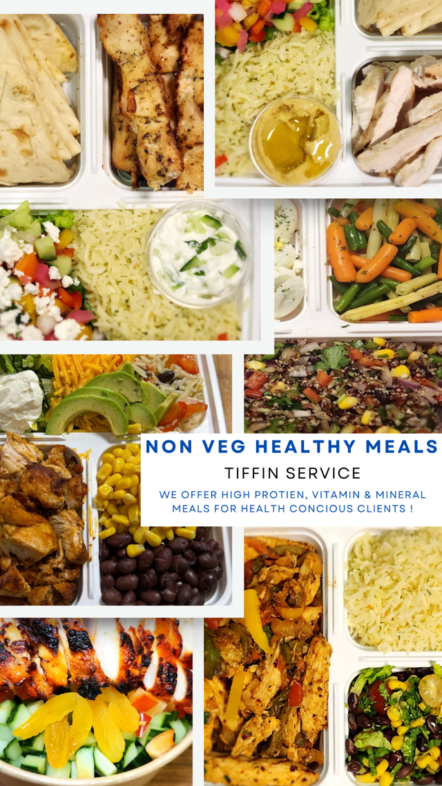 No. 1 Tiffin operator in Toronto  ! in Food & Catering in Mississauga / Peel Region - Image 8