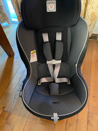 Car Seat and Potector 