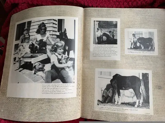 Look magazine — The JFK Memorial Issue in Arts & Collectibles in Winnipeg - Image 9