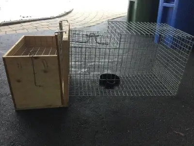 Plusieurs cages pour lapins, poule etc. Ste-Eulalie et Disraeli Cage : 15po de haut, 28 po de long,...