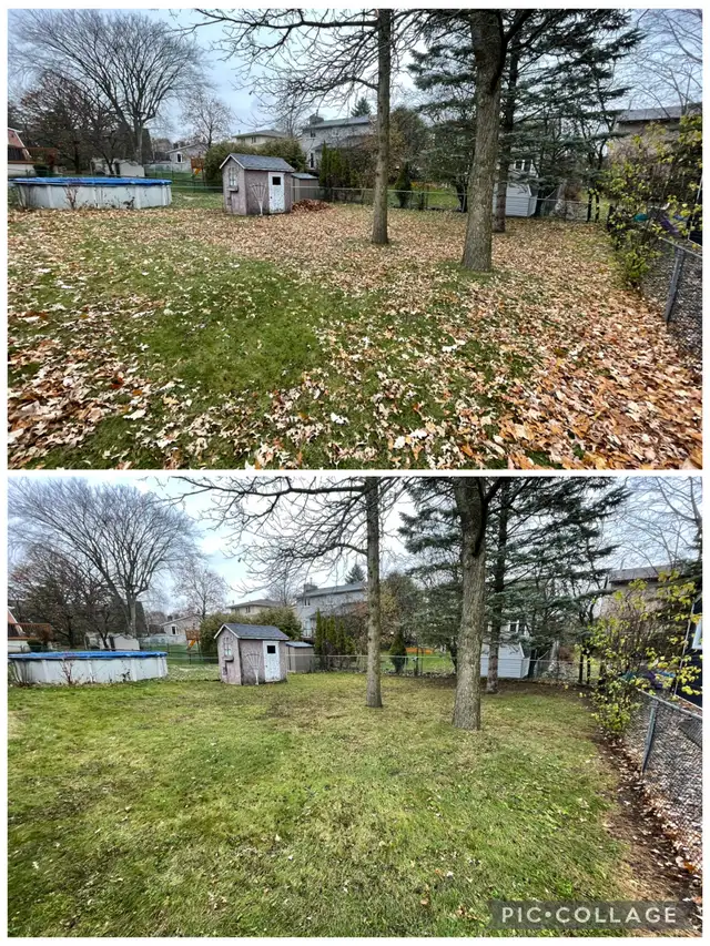 Leaf Removal601409090340136961